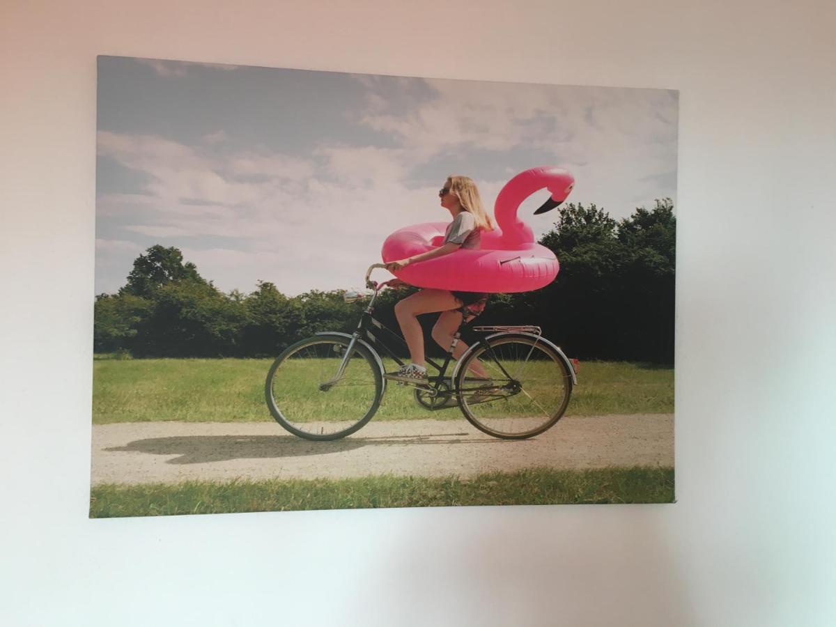 Haus Petrasch "555" Daire Pfunds Dış mekan fotoğraf